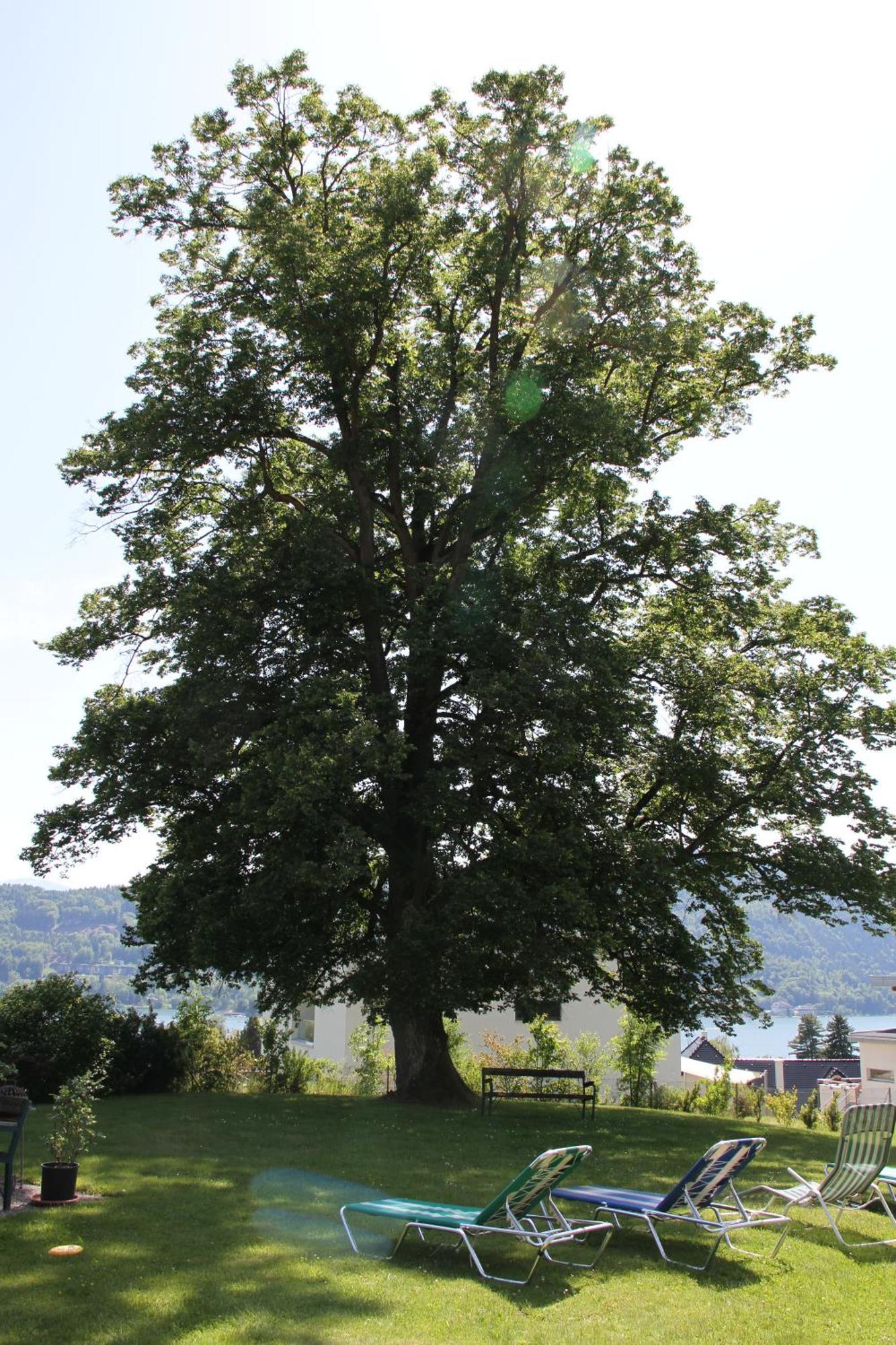 Landhaus Strussnighof Pörtschach am Wörthersee Esterno foto
